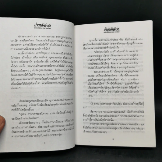 น้ำตาลใกล้มด 2 เล่มจบ - ชูวงศ์ ฉายะจินดา รูปที่ 11