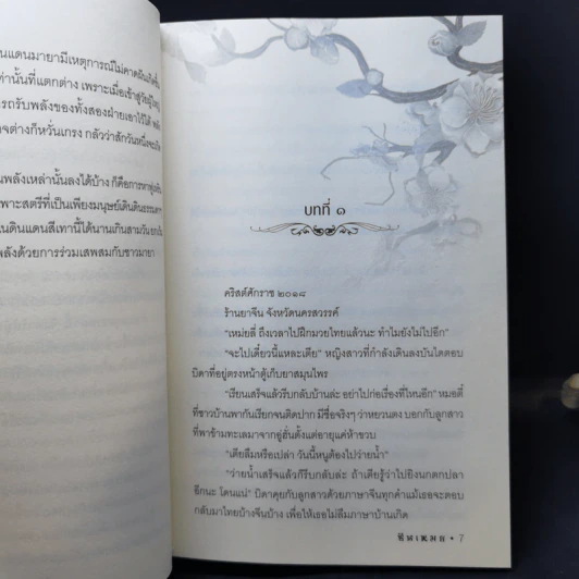 นิยายรักข้ามกาลเวลา มิติลี้รัก - ซินเหมย รูปที่ 9