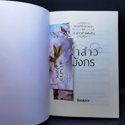 นิยายรักข้ามกาลเวลา เจ้าสาวไวกิ้ง + เจ้าสาวมังกร - ซินเหมย รูปที่ 10