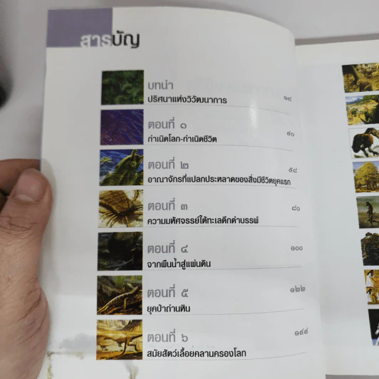 วิวัฒนาการของชีวิต ประวัติศาสตร์ 4,600 ล้านปี - คุณากร วาณิชย์วิรุฬห์ รูปที่ 4