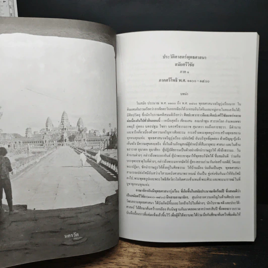 หนังสือ ประวัติศาสตร์ไทย สมัยศรีวิชัย - ธรรมทาส พานิช รูปที่ 10