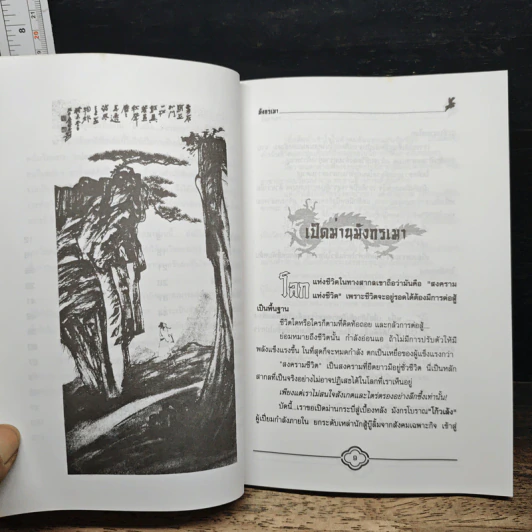โก้วเล้งมังกรเมา - แก้วชาย ธรรมาชัย รูปที่ 8