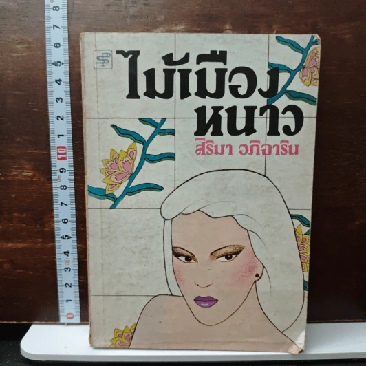 ไม้เมืองหนาว - สิริมา อภิจาริน รูปที่ 1