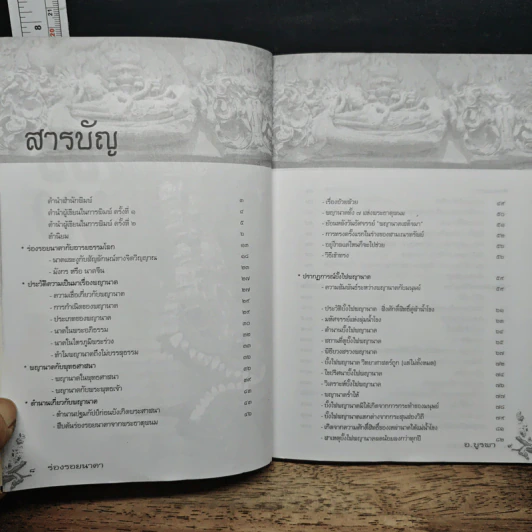 ร่องรอยนาคา - อ.แอ๊ด บูรพา รูปที่ 7