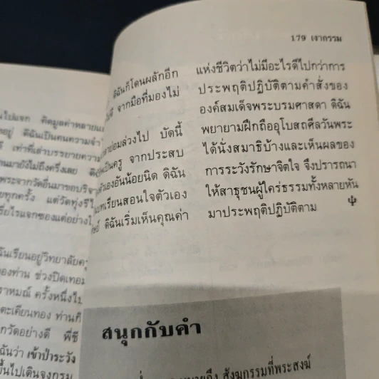 เงากรรม 20 รูปที่ 9