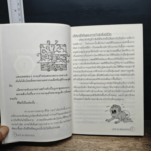 Life Is Beautiful - อาดมัน รูปที่ 8