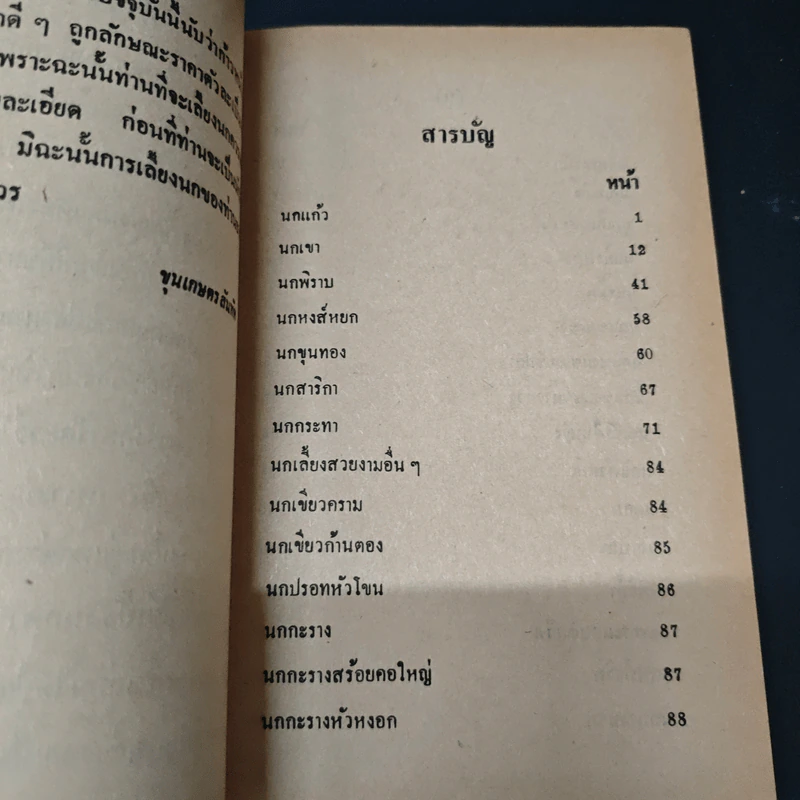 วิธีเลี้ยงนกเงินล้าน และ แนนำวิธีเลี้ยงนกราคาแพงอย่างถูกต้อง รูปที่ 6