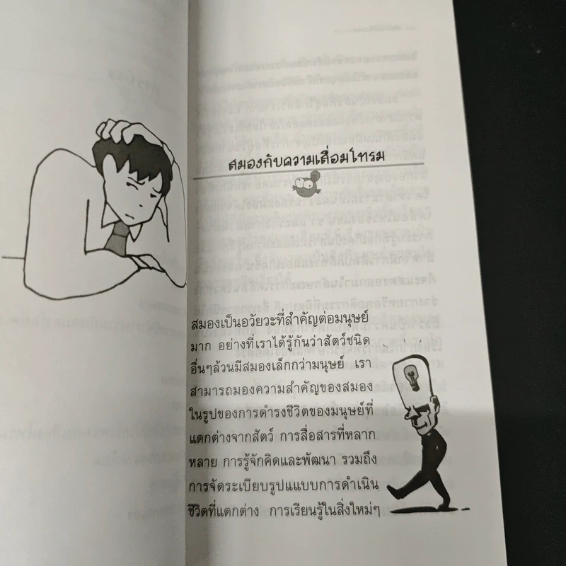 ชะลอวัยให้สมอง - คนฑวรรณ ทองโสม รูปที่ 7