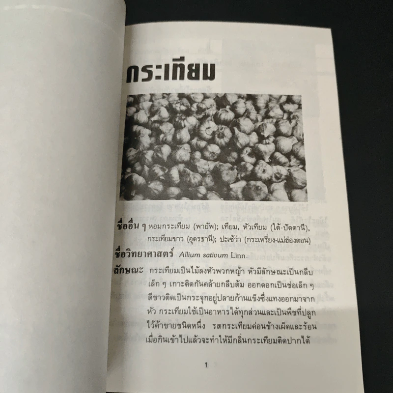 กระเทียม ยอดสมุนไพรในครัวเรือน รูปที่ 6