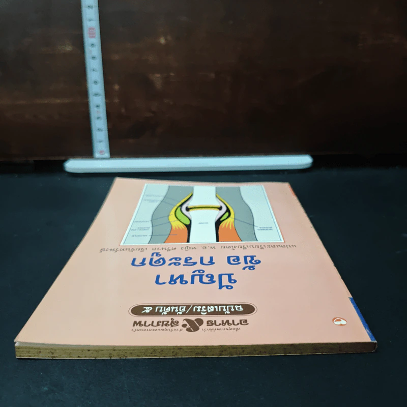 ปัญหาข้อกระดูก - พ.อ.หญิง ศรีนวล เจียจันทร์พงษ์ รูปที่ 5