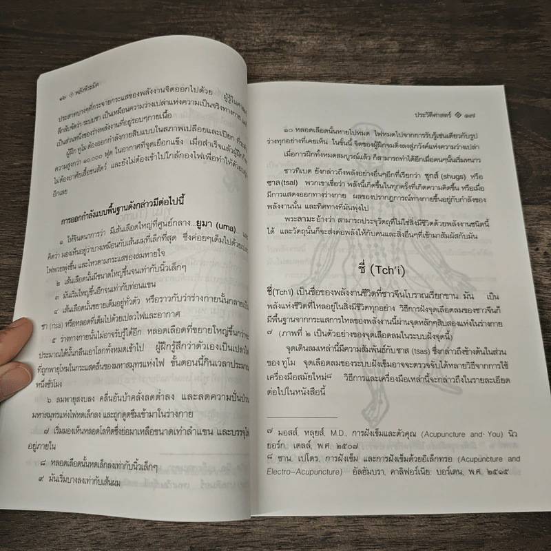 Power of Pyramid พลังพีระมิด - สิงห์คำ โต๊ะงาม รูปที่ 7