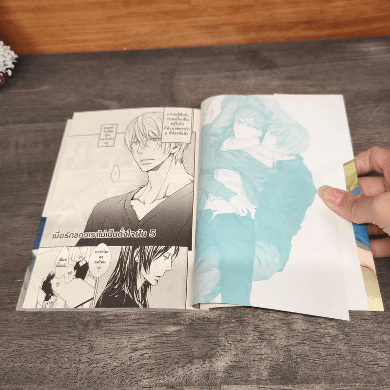 เมื่อรักของเราไม่เป็นดั่งใจฝัน 2 เล่มจบ - ไค อะโซ รูปที่ 11