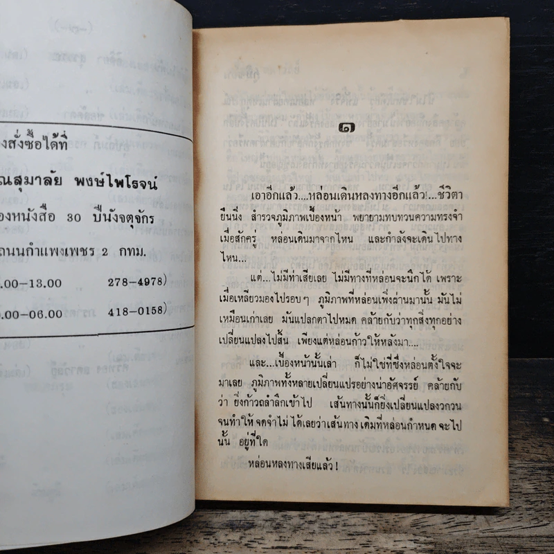 ภูมิซ้อน - ศรีทอง ลดาวัลย์ รูปที่ 7