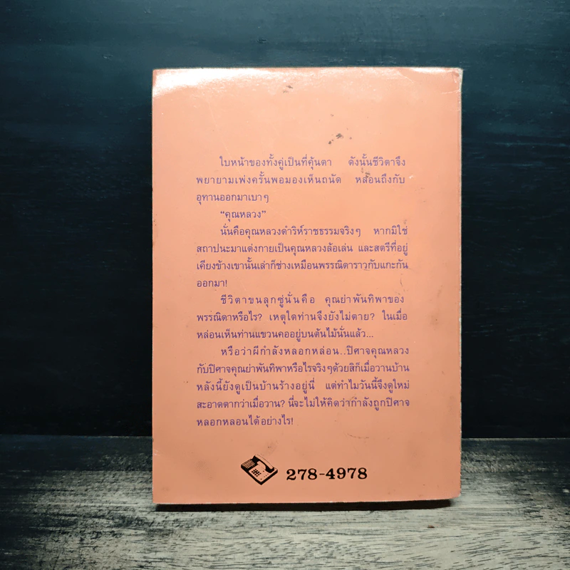 ภูมิซ้อน - ศรีทอง ลดาวัลย์ รูปที่ 2