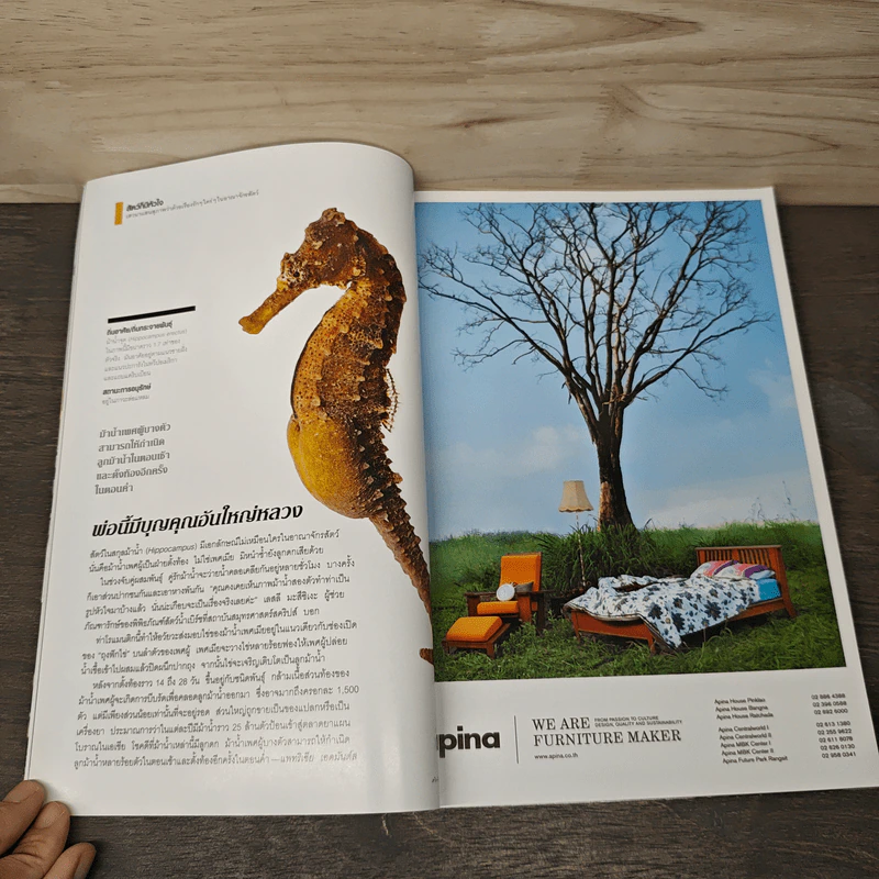 National Geographic ฉบับที่ 173 ธ.ค.2558 รูปที่ 9