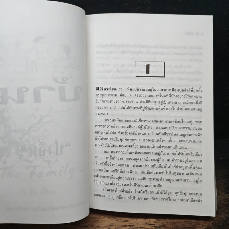 บ้าน - ปาจิน (วรรณกรรมชิ้นเอกของจีน) รูปที่ 10