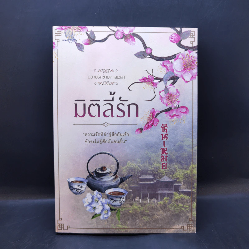 นิยายรักข้ามกาลเวลา มิติลี้รัก - ซินเหมย รูปที่ 1