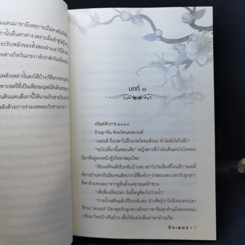 นิยายรักข้ามกาลเวลา มิติลี้รัก - ซินเหมย รูปที่ 9