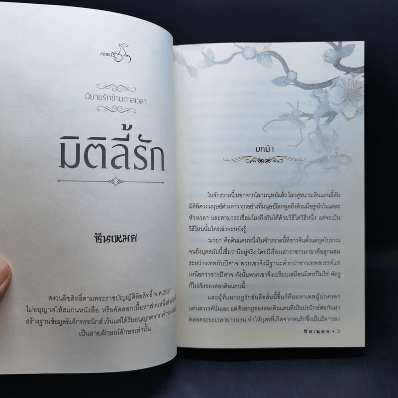 นิยายรักข้ามกาลเวลา มิติลี้รัก - ซินเหมย รูปที่ 8
