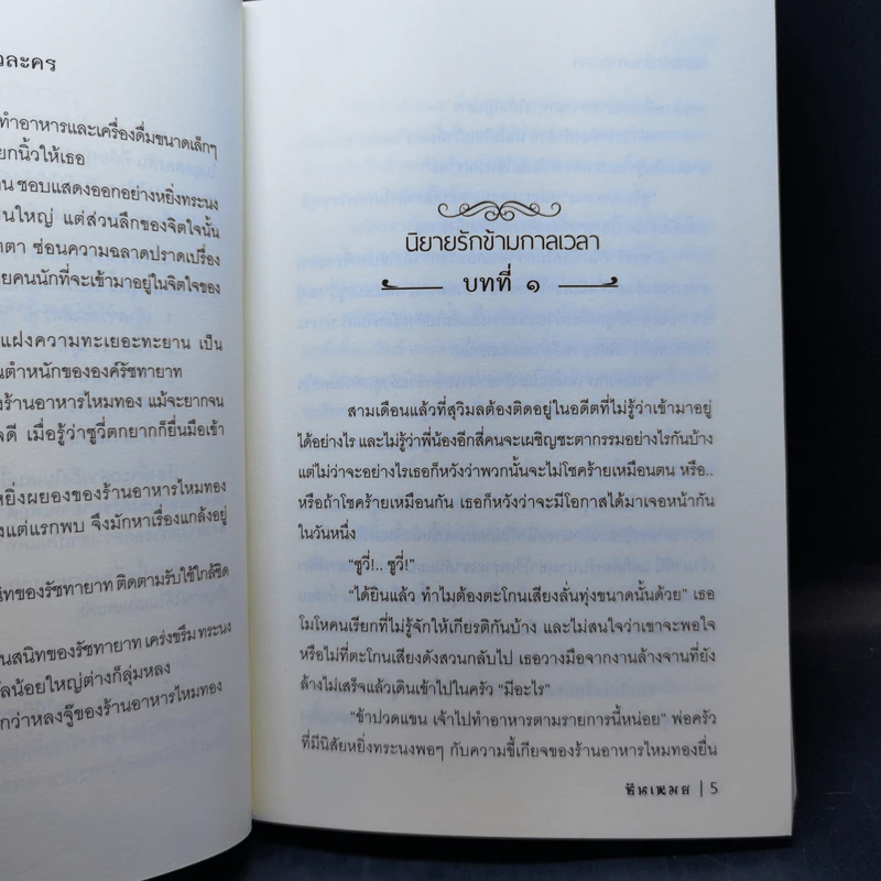 นิยายรักข้ามกาลเวลา เจ้าสาวไวกิ้ง + เจ้าสาวมังกร - ซินเหมย รูปที่ 12