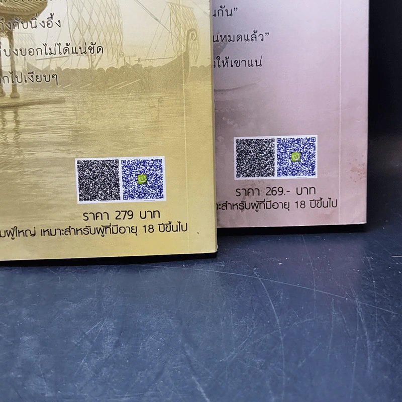 นิยายรักข้ามกาลเวลา เจ้าสาวไวกิ้ง + เจ้าสาวมังกร - ซินเหมย รูปที่ 14