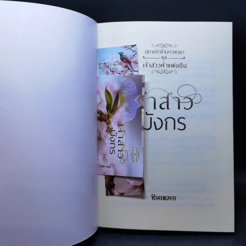 นิยายรักข้ามกาลเวลา เจ้าสาวไวกิ้ง + เจ้าสาวมังกร - ซินเหมย รูปที่ 10