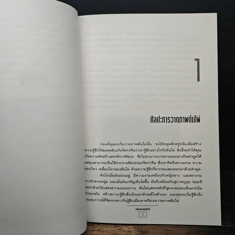 เส้นสายภู่กันจีน - ณัฐพัฒน์ รูปที่ 8