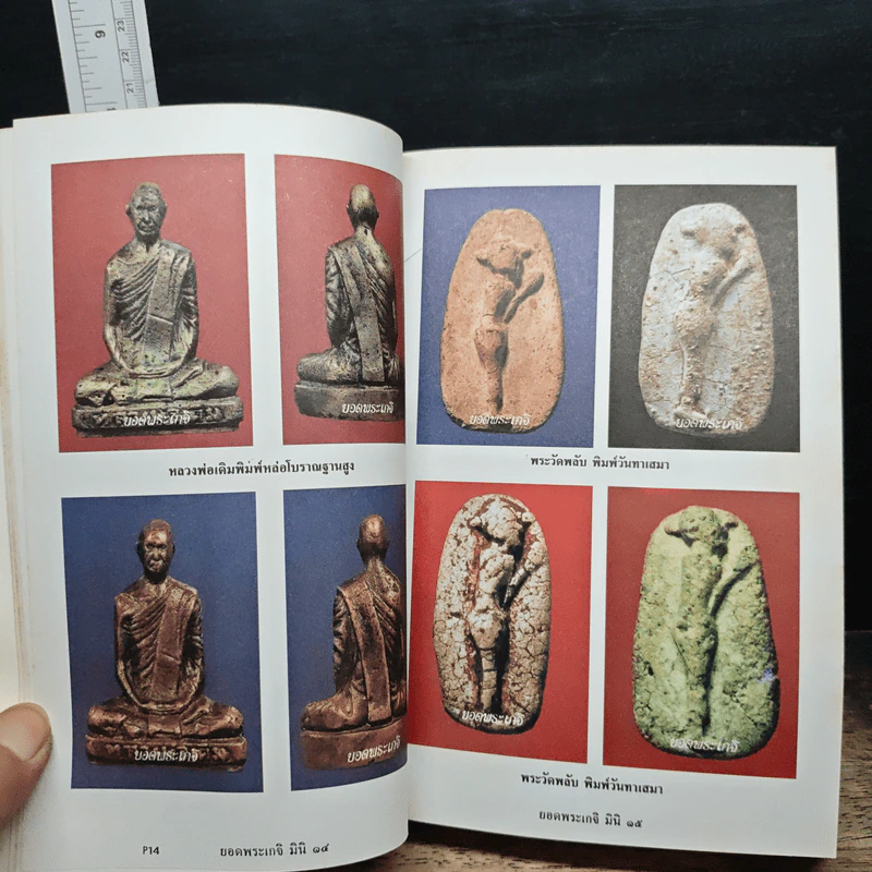 ยอดพระเกจิ รวมเล่มมาตรฐานฉบับ...พระยอดนิยม ดิน-ชิน-ผง-เหรียญ รูปที่ 9