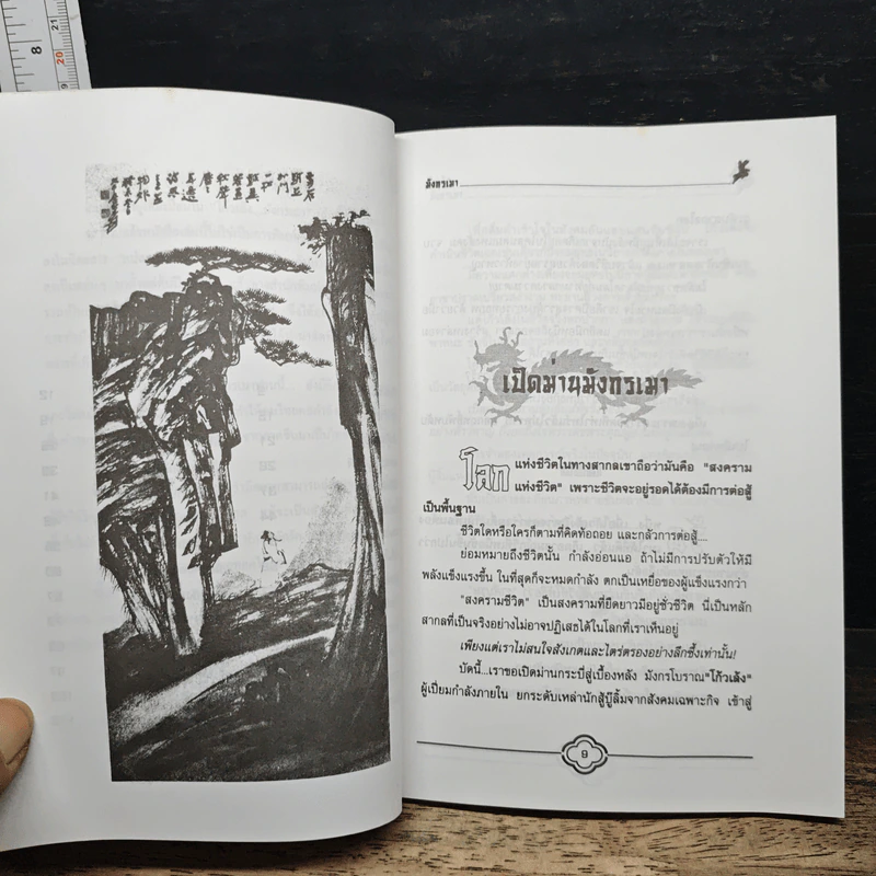 โก้วเล้งมังกรเมา - แก้วชาย ธรรมาชัย รูปที่ 8