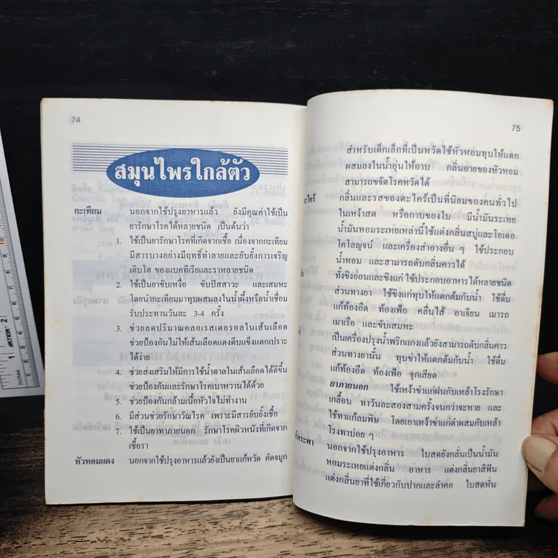 อนุสรณ์งานทำบุญอายุ 80 ปี 2538 รูปที่ 9
