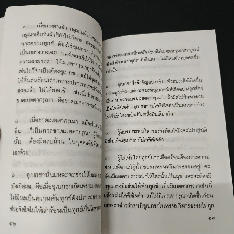แสงส่องใจให้เพียงพรหม - สมเด็จพระญาณสังวร สมเด็จพระสังฆราช สกลมหาสังฆปริณายก รูปที่ 8