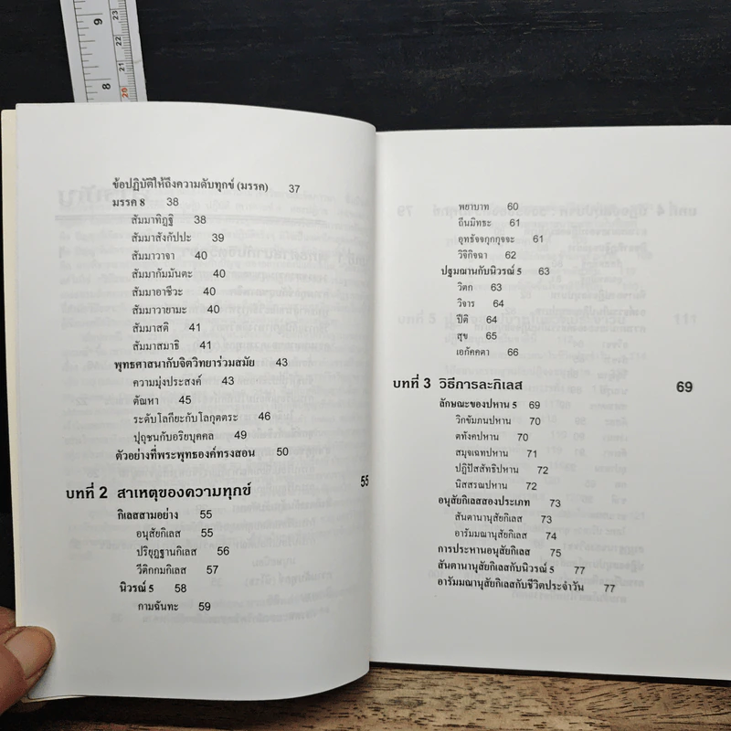 จิตวิทยาของความดับทุกข์ - จําลอง ดิษยวณิช รูปที่ 8