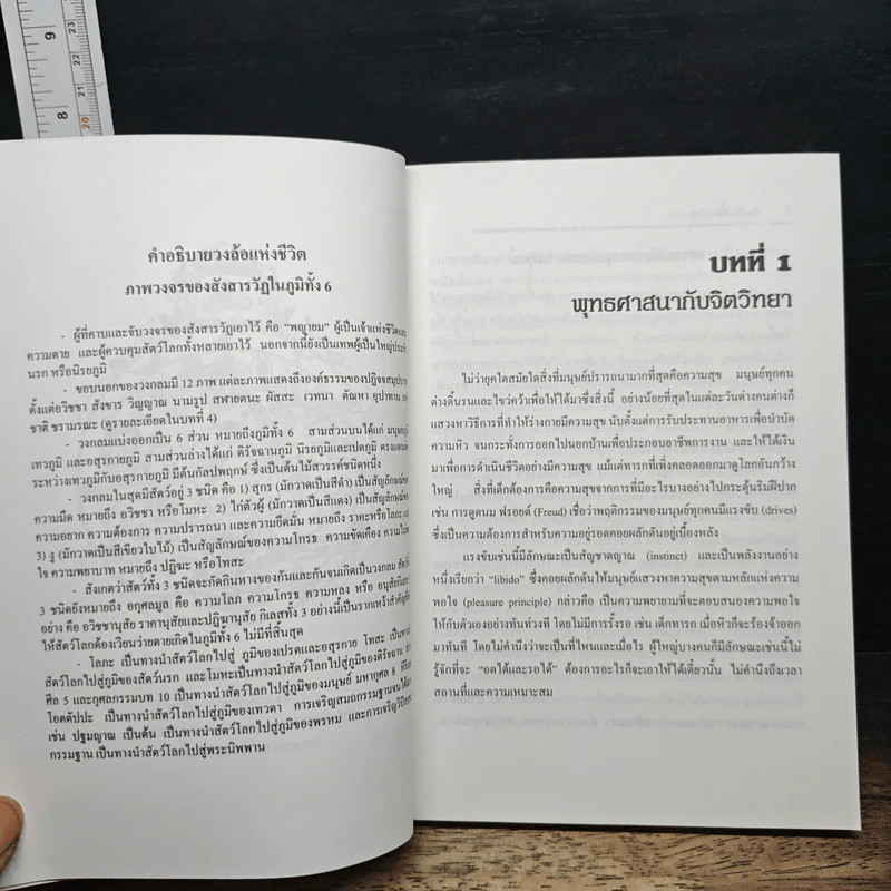 จิตวิทยาของความดับทุกข์ - จําลอง ดิษยวณิช รูปที่ 11