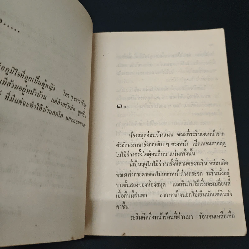 ไม้เมืองหนาว - สิริมา อภิจาริน รูปที่ 7