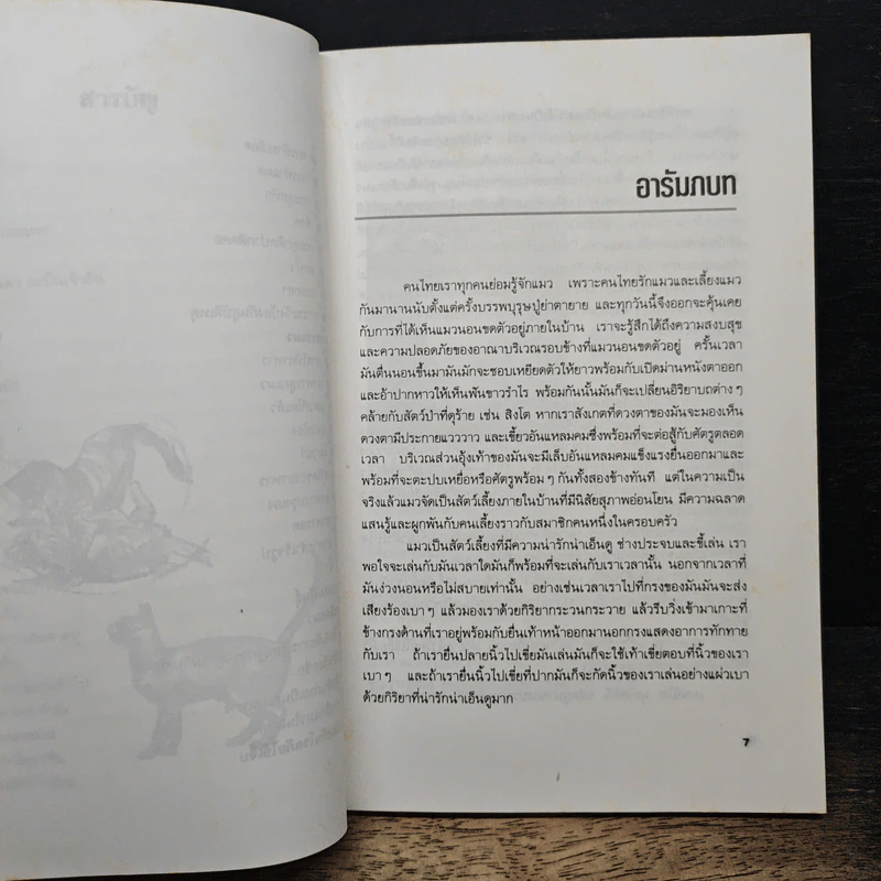 ความรู้เกี่ยวกับการเลี้ยงแมว รูปที่ 8