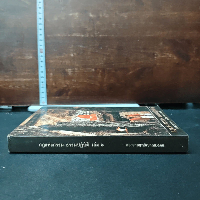กฎแห่งกรรม ธรรมปฏิบัติ เล่ม 6 - พระราชสุทธิญาณมงคล รูปที่ 3