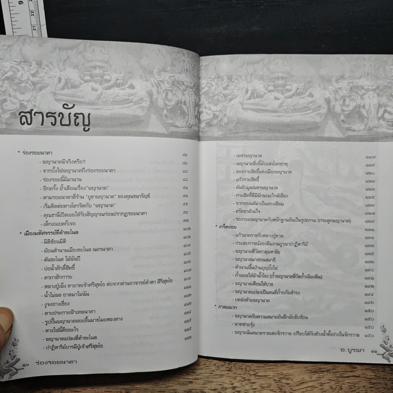 ร่องรอยนาคา - อ.แอ๊ด บูรพา รูปที่ 8