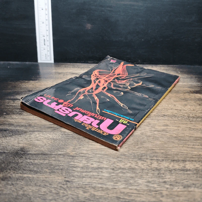 สวยทันโลก ฉบับ กายบริหาร แบบล๊อตเต้ เบ็ค 34 ท่า - ศศิ รูปที่ 5