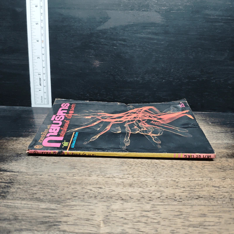 สวยทันโลก ฉบับ กายบริหาร แบบล๊อตเต้ เบ็ค 34 ท่า - ศศิ รูปที่ 3