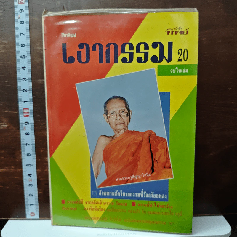 เงากรรม 20 รูปที่ 1