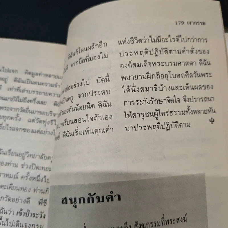 เงากรรม 20 รูปที่ 9