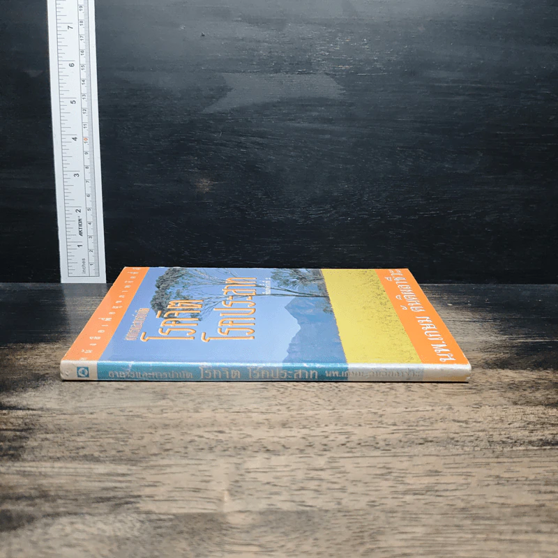 อาการและการบำบัด โรคจิต โรคประสาท - นพ.เกษม ตันติผลาชีวะ รูปที่ 3