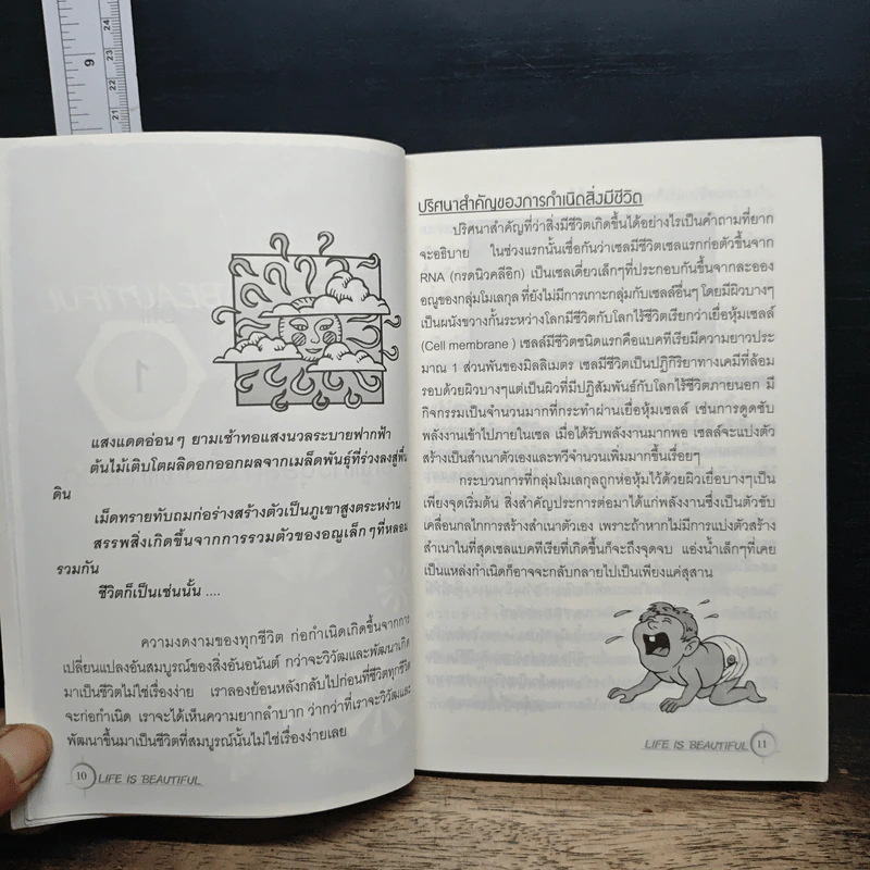 Life Is Beautiful - อาดมัน รูปที่ 8