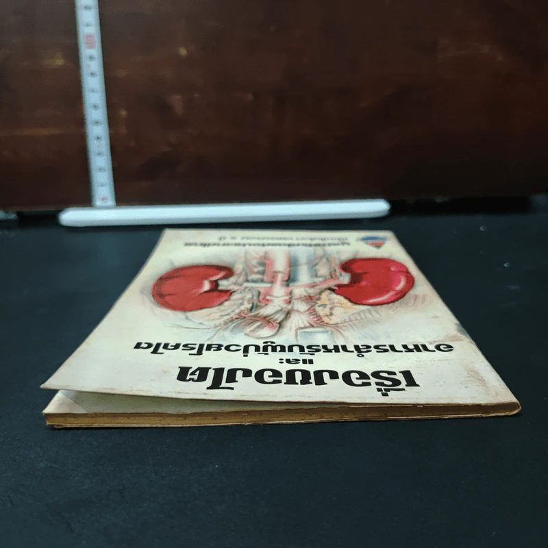 เรื่องของไต และอาหารสำหรับผู้ป่วยโรคไต รูปที่ 5