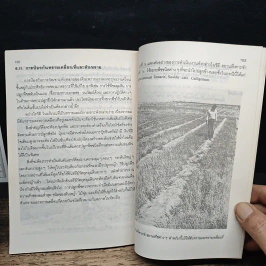 หนังสือ การอนุรักษ์ดิน ในประเทศที่กำลังพัฒนา รูปที่ 10