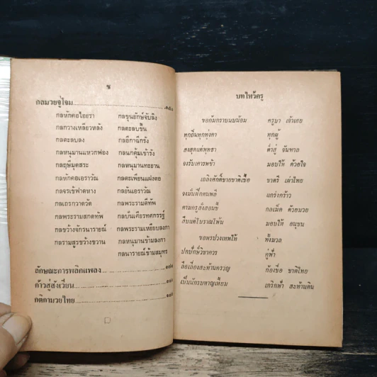 ตำรามวยไทย - ยศ เรืองสา รูปที่ 10