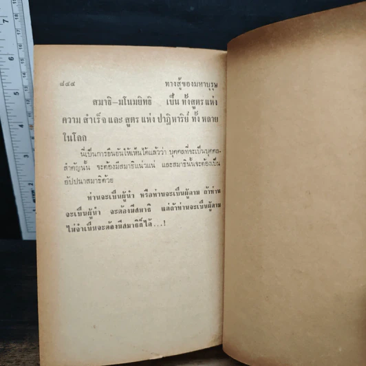 ทางสู้ของมหาบุรุษ - วิเทศกรณีย์ รูปที่ 12