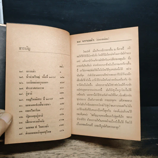 ประชาธิปไตย 42 ปี - ไทยน้อย รูปที่ 10