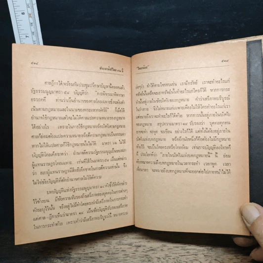ประชาธิปไตย 42 ปี - ไทยน้อย รูปที่ 11