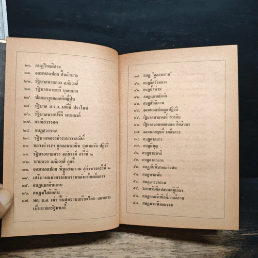 ประชาธิปไตย 42 ปี - ไทยน้อย รูปที่ 8